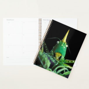 Agenda Grasshopper con Cabecera Cone
