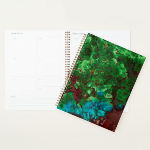 Agenda Green Laced Shattuckita