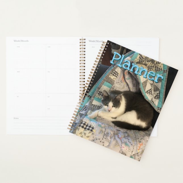 Agenda Gris y gato blanco (Demostración)