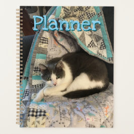 Agenda Gris y gato blanco