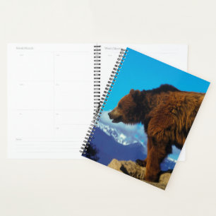 Agenda Grizzly Bear
