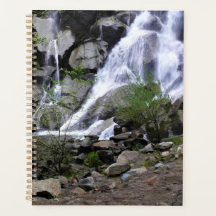Agenda Grizzly Falls, Parque Nacional del Cañón del Rey,