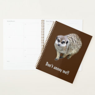 Agenda Grumpy meerkat