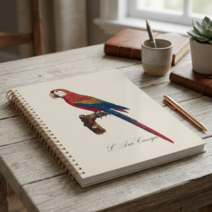 Agenda Guacamayo Escarlata o Guacamayo Macao, Ara macao