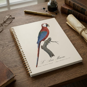 Agenda Guacamayo rojo y verde, Ara chloropterus