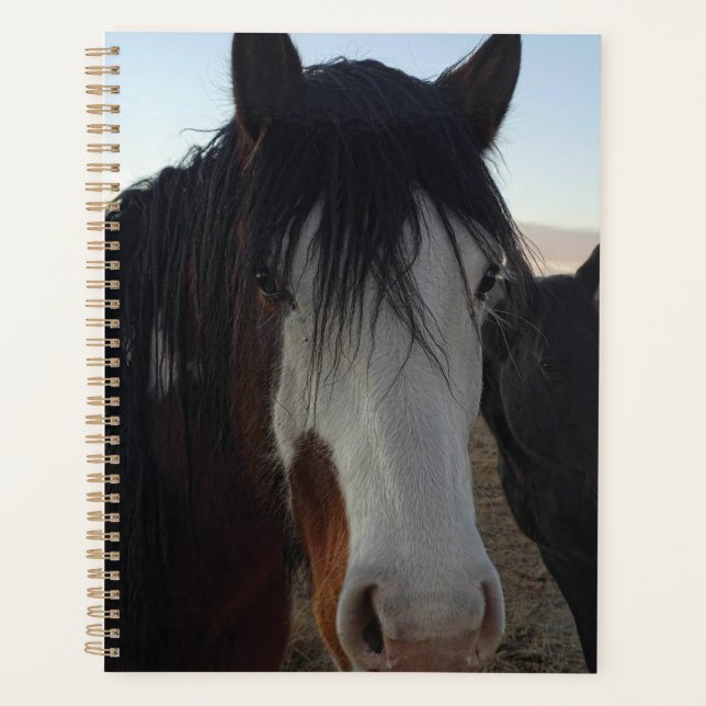 Agenda Hair in the Eyes Planner (Anverso)