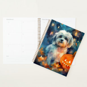 Agenda Halloween Havanese con calabazas aterradoras