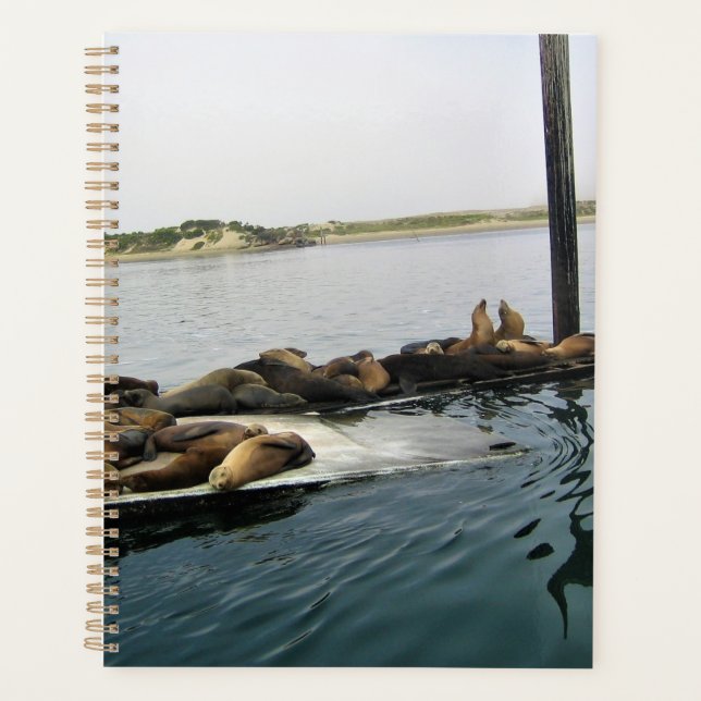 Agenda Harbour Seals, Morro Bay, California (Anverso)