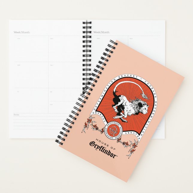 Agenda HARRY POTTER™ | Escudo Delicado Sketch GRYFFINDOR™ (Demostración)