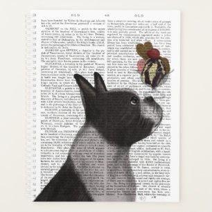 Agenda Helado de Boston Terrier