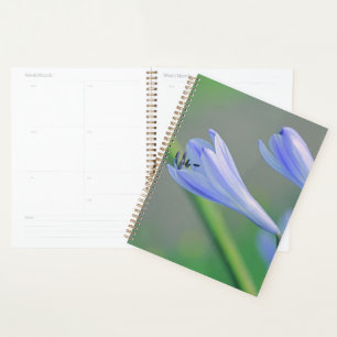 Agenda Hermosa flor púrpura azul pálido
