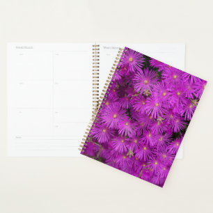 Agenda Hermosa flor rosa de manzana