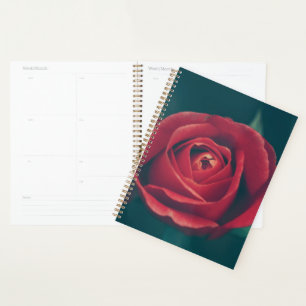 Agenda Hermosa Flor Rosa Roja