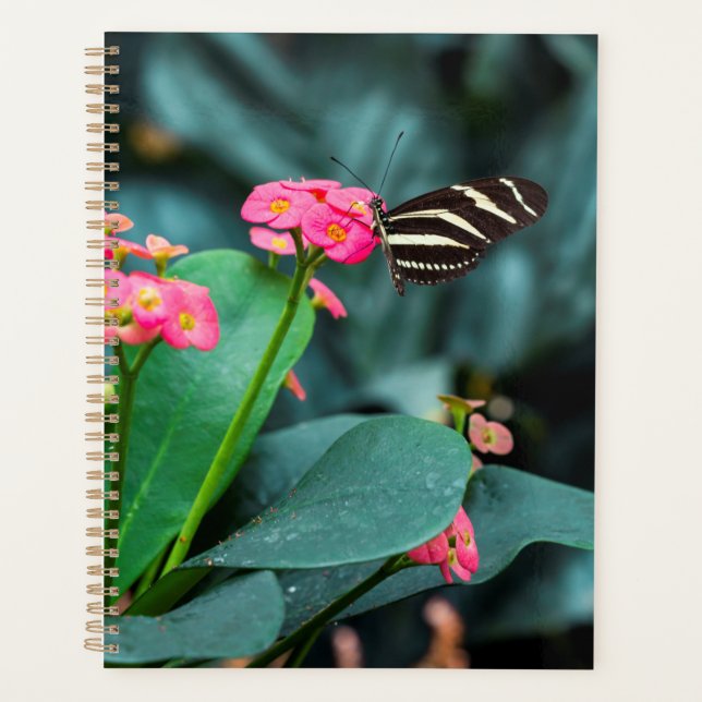 Agenda Hermosa mariposa (Anverso)