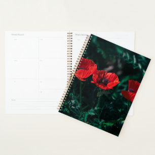 Agenda Hermosas flores rojas de tres adormidera