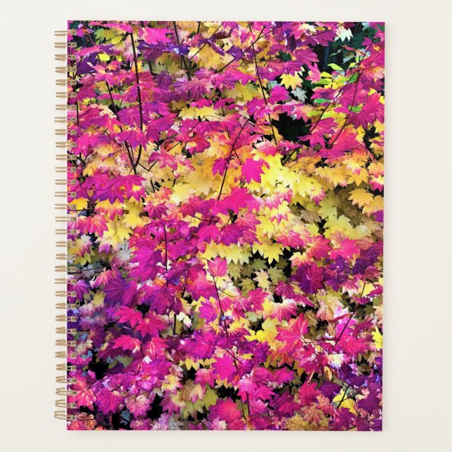 Agenda Hermosas hojas de otoño (Anverso)