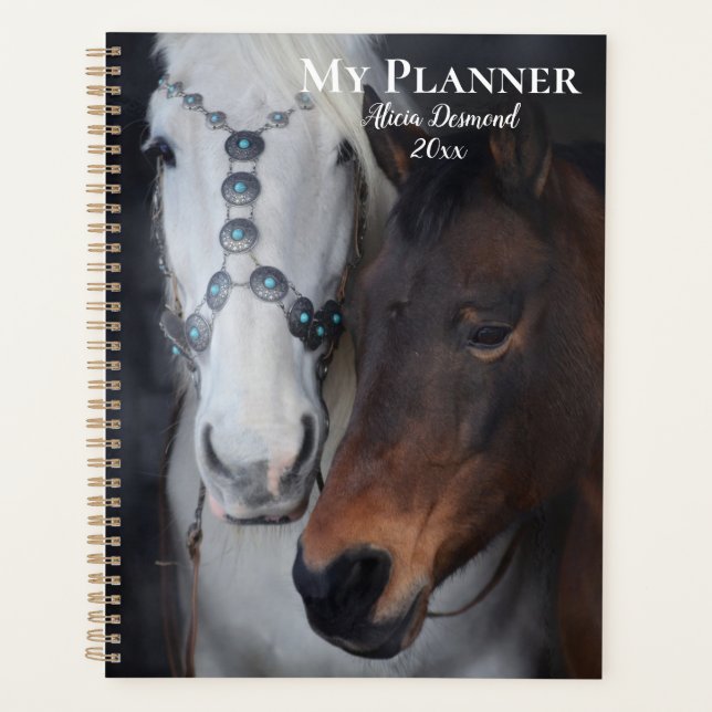 Agenda Hermoso caballo árabe blanco con colt (Anverso)