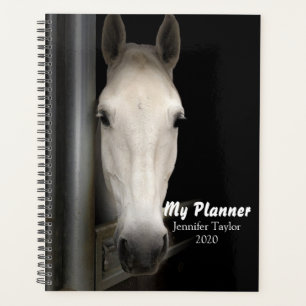Agenda Hermoso caballo blanco
