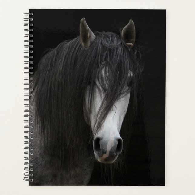 Agenda Hermoso caballo blanco y negro (Anverso)