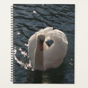 Agenda Hermoso cisne blanco