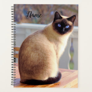 Agenda Hermoso gato siamés con ojos azules