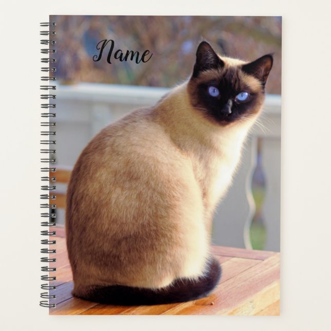 Agenda Hermoso gato siamés con ojos azules (Anverso)