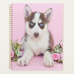 Agenda Hermoso Husky Puppy con rosas rosas rosas