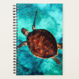 Agenda Hermoso océano Nadando Gran Tortuga Marrón