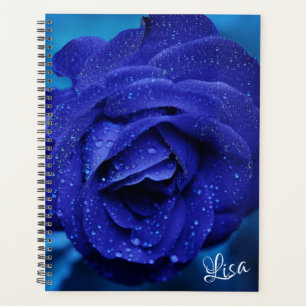 Agenda Hermoso Rosa azul