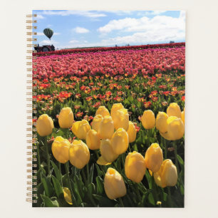 Agenda Hermoso Tulip Field con globo de aire caliente, Or
