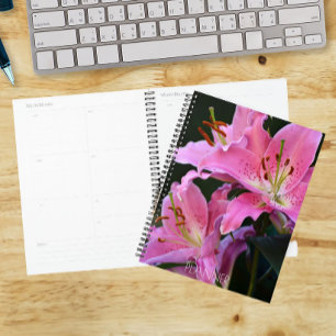 Agenda Hermosos lirios rosados florecen floral