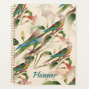Agenda Hermosos loros y hermosas flores