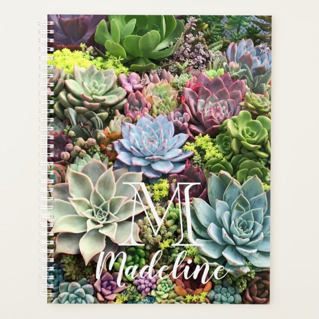 Agenda Hermosos Suculentos (Anverso)