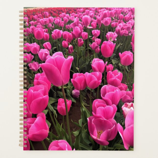 Agenda Hermosos Tulipanes Rosados, Oregón (Anverso)
