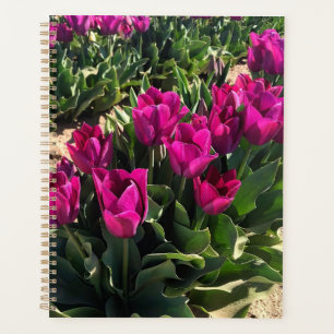 Agenda Hermosos Tulips