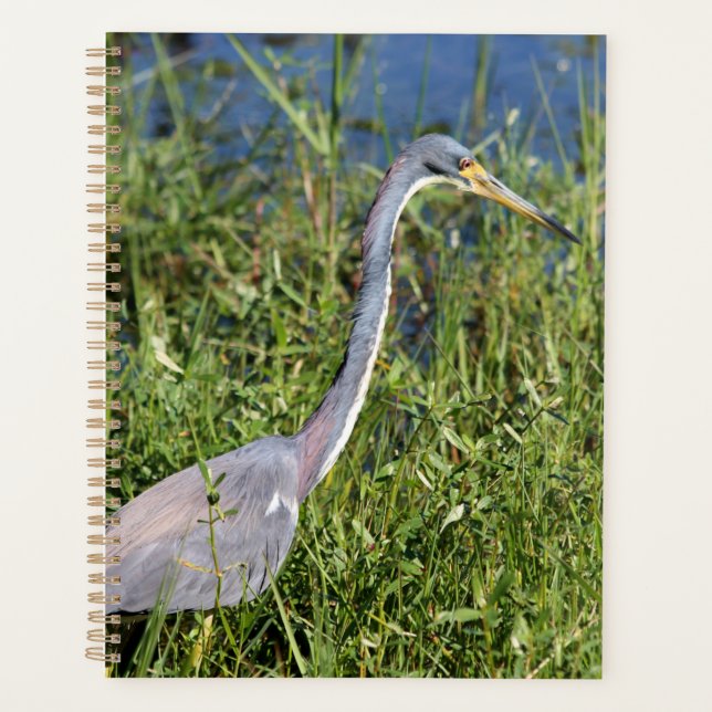 Agenda Heron tricolado (Anverso)