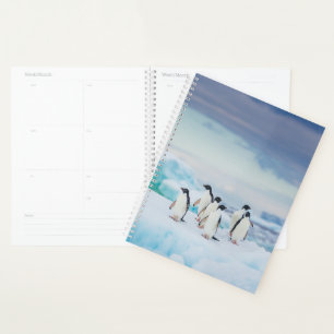 Agenda Hielo y nieve Adelie Penguins Antártida