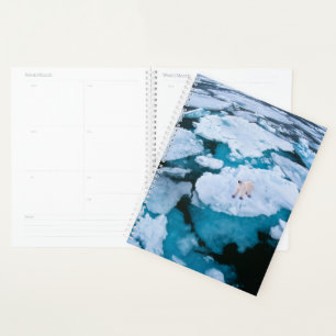 Agenda Hielo y nieve Oso Polar, Océano Ártico, Svalbard