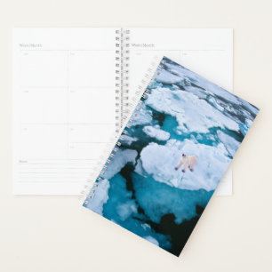 Agenda Hielo y nieve Oso Polar, Océano Ártico, Svalbard