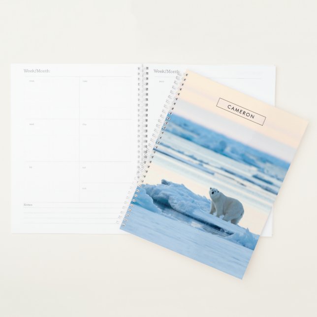 Agenda Hielo y nieve | Polar Bear Iceberg Noruega (Demostración)