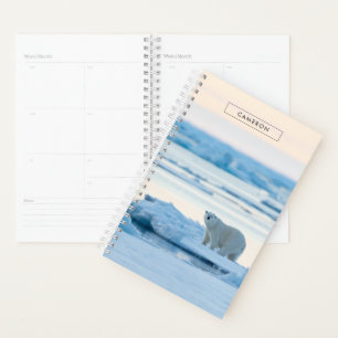 Agenda Hielo y nieve Polar Bear Iceberg Noruega