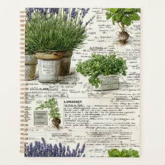 Agenda hierba botánica, antiguo apotecario y lavanda