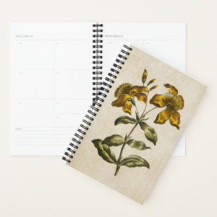 Agenda Hierba de San Juan