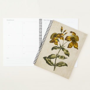 Agenda Hierba de San Juan