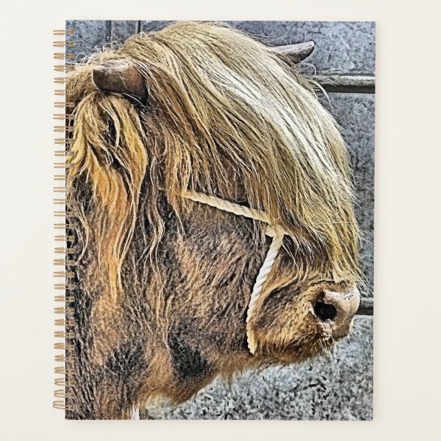AGENDA HIGHLAND COW (Anverso)
