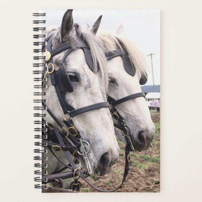 Agenda Hípica de Planner Foto Equine Percheron Tandem (Anverso)