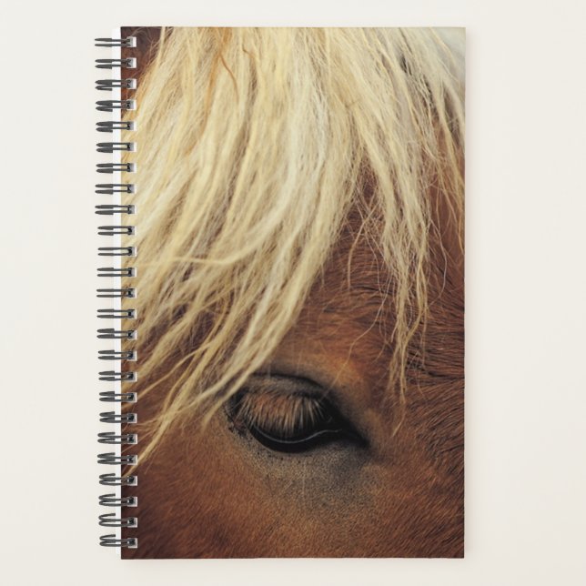 Agenda Hípica Foto Equine Horse White Mane (Anverso)