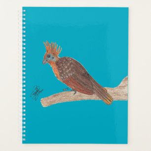 AGENDA HOATZIN