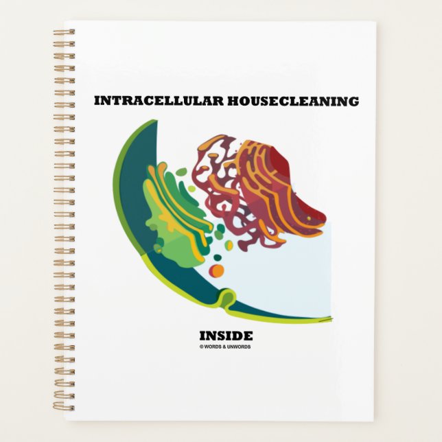 Agenda Hogar intracelular dentro de la endomembrana (Anverso)