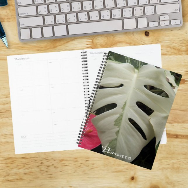 Agenda Hoja floral de Monstera variada (In Situ)